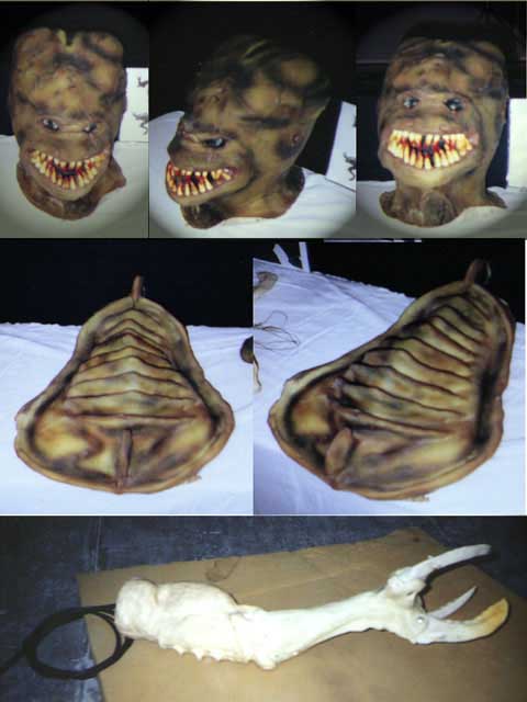 Head and body parts of a genestealer